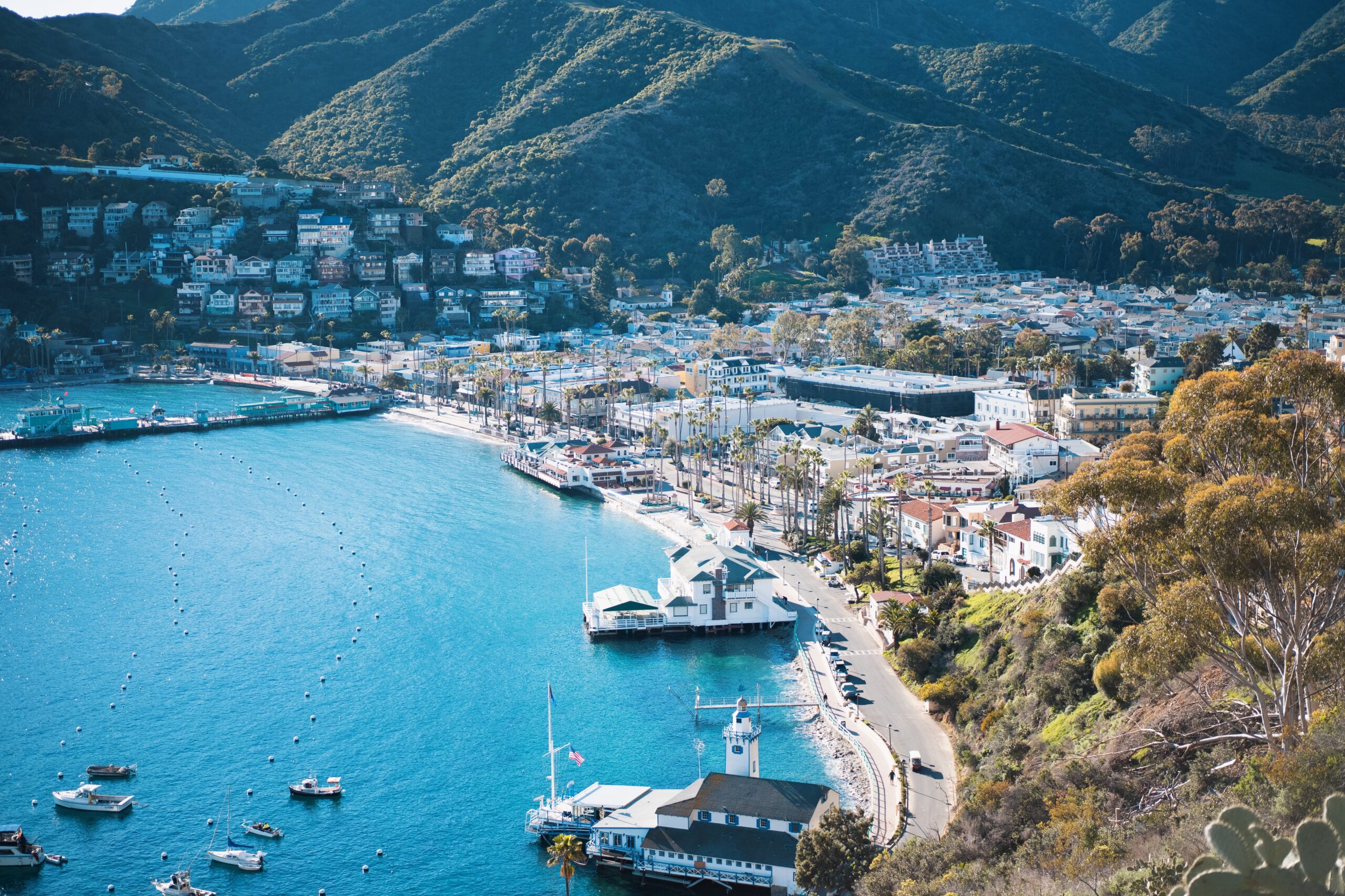 Sailing to Catalina Island: A Powerful Journey