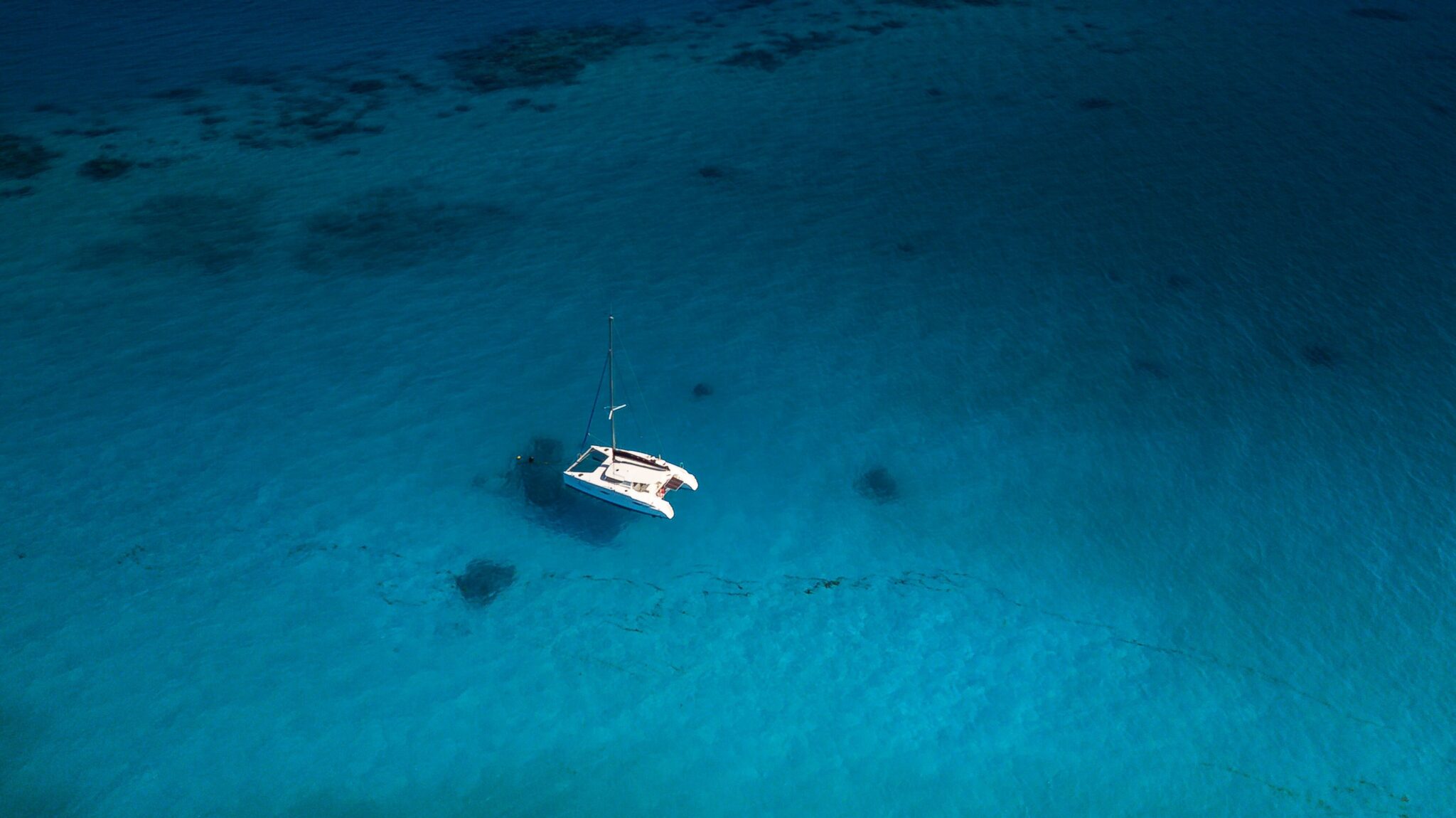 Catamaran Sailboat in light blue water from overhead